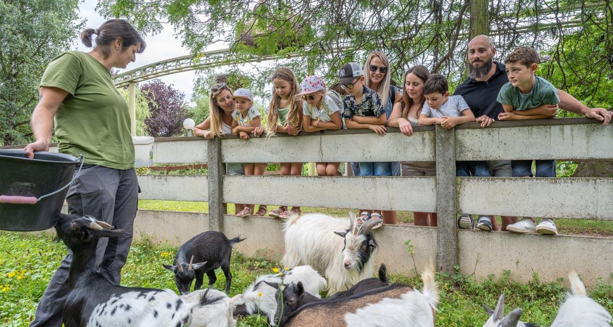 Les animaux de la ferme Les animaux de la ferme