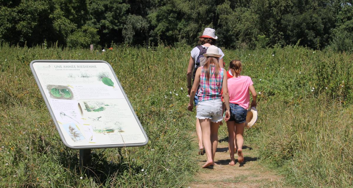 Le Ried n'aura plus de secret pour vous Le Ried n'aura plus de secret pour vous