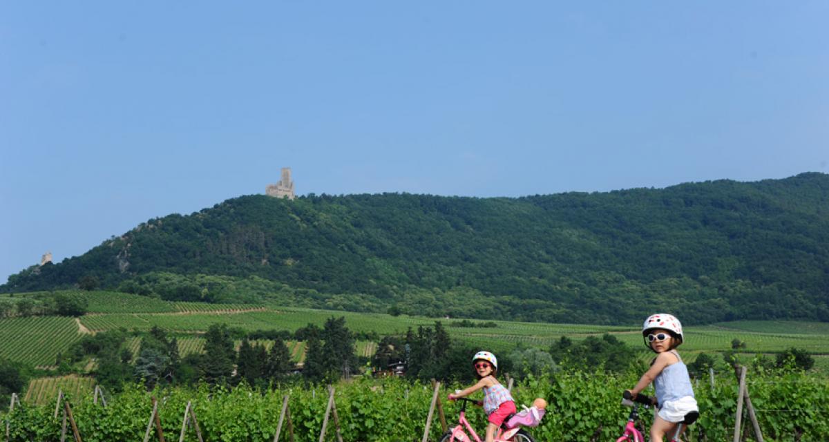 En famille au SlowUp Alsace