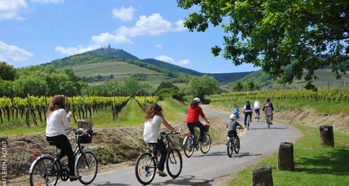 SlowUp Alsace sur la Route des Vins