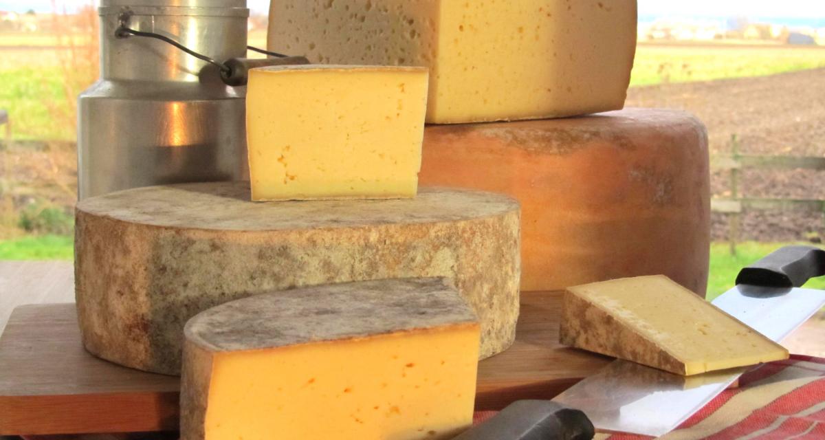 Tomme de l'Illwald Tomme de l'Illwald