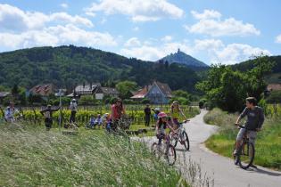 SlowUp Alsace et Haut-Koenigsbourg