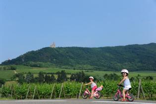 En famille au SlowUp Alsace