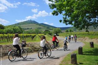 SlowUp Alsace sur la Route des Vins