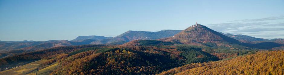 Château du Haut-Koenisbourg - OT de Sélestat