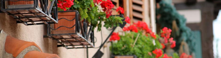 Scherwiller - OT de Sélestat Scherwiller - OT de Sélestat