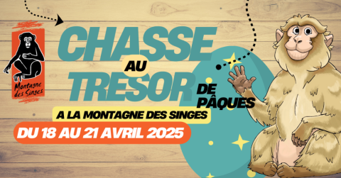 Chasse aux trésor de Pâques ©La Montagne des Singes Chasse aux trésor de Pâques ©La Montagne des Singes