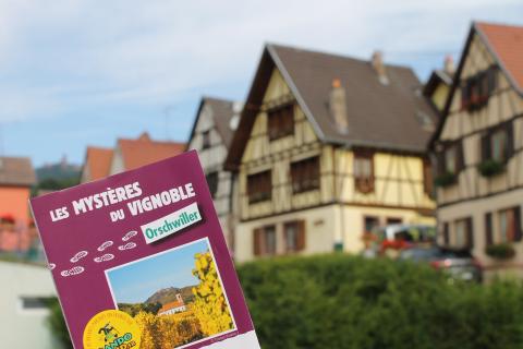 the Mysteries of the Vineyards 