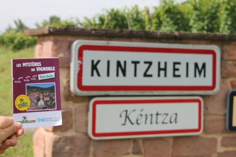 Spielbuch les Mystères du Vignoble (Die Geheimnisse des Weinbergs)