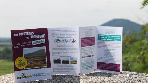 carnet de jeux les mystères du vignble carnet de jeux les mystères du vignble