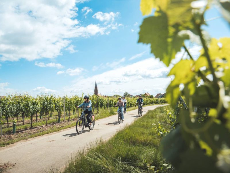Balade à vélo dans les vignes ART GE - Pierre DEFONTAINE