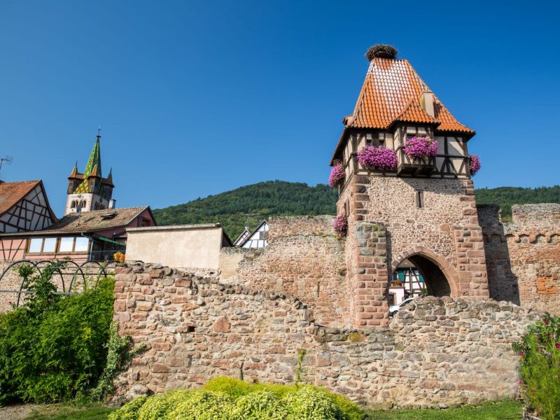 Châtenois Tristan Vuano