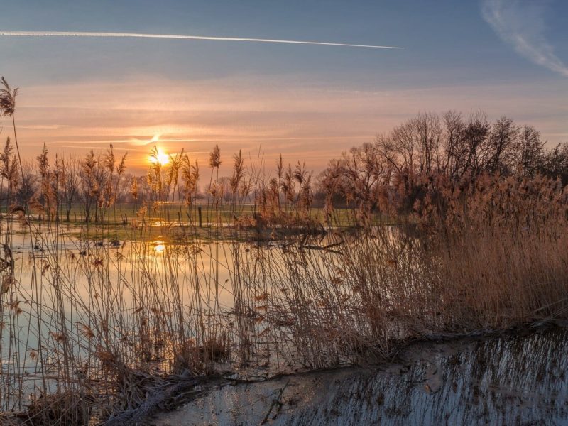 Michel et Béatrice MAITRE