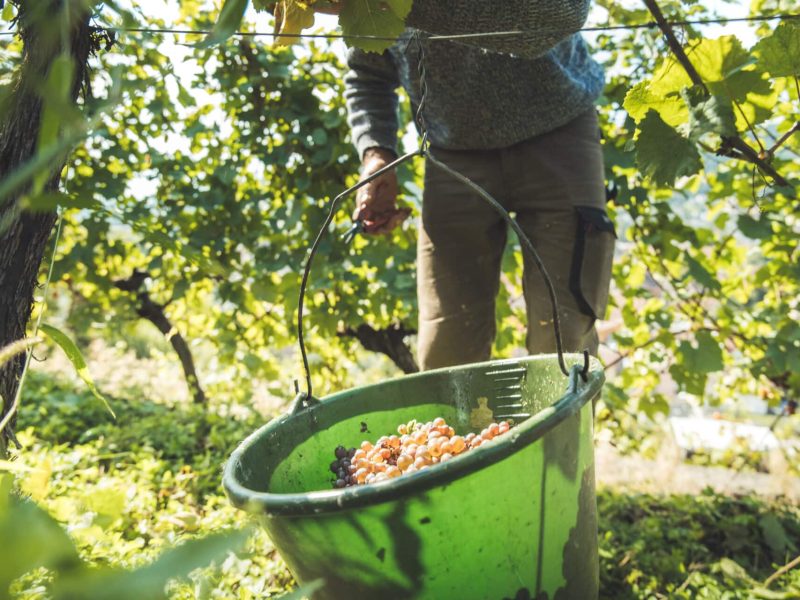 ART GE - Pierre DEFONTAINE