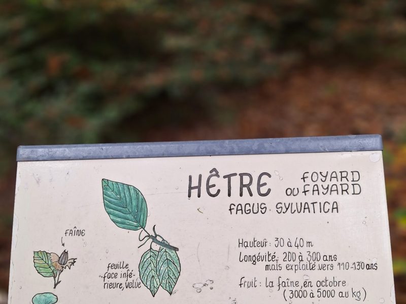 Panneau essence d'arbre dans l'arboretum - Kintzheim