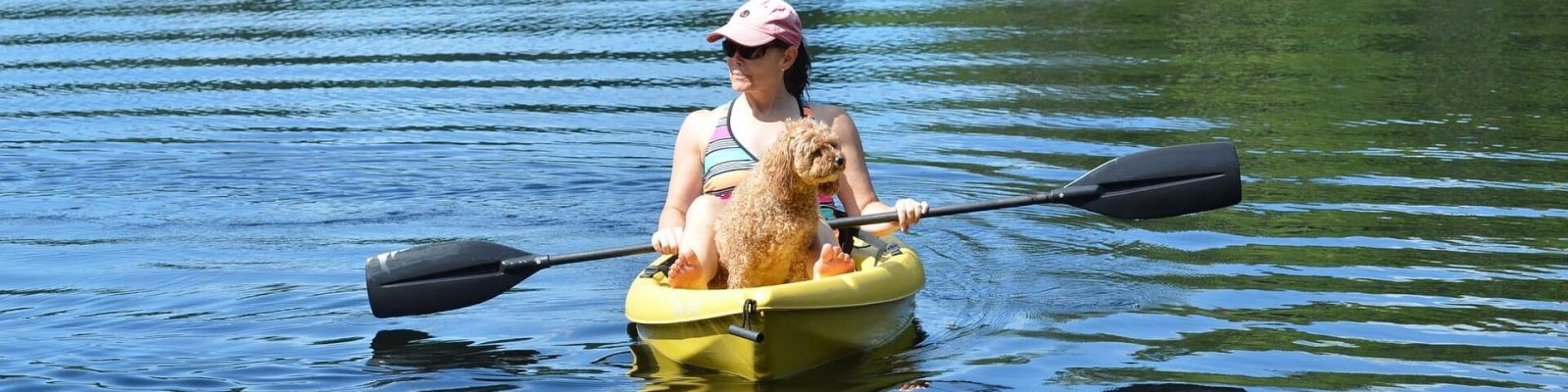 Condoleeza from Pixabay