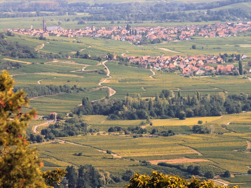 Vue sur la plaine depuis le Hahnenberg en automne